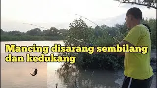 MANCING DI PERCUT DAPAT BANYAK IKAN KEDUKANG