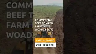 Disc Ploughing - 80 Acres Vegetable Crop Production  in Ghana 🇬🇭 (Woadze) - Beef Tomatoes