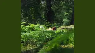 Kaanal Neere