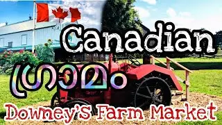 Exploring an unexplored Canadian village Downey&rsquo;s Farm Market Visit,Caledon, Brampton,Ontario,Canada