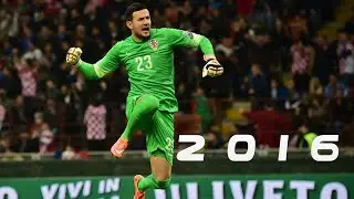 Danijel Subasic 2015/2016 HD ● Bests Saves ● AS Monaco