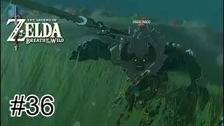 ZELDA BREATH OF THE WILD #36 - DUELANDO COM O LYNEL AZUL