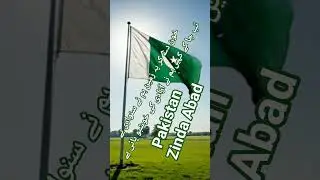 Pakistan Celebrates 78 Years of Independence 🇵🇰 | Azadi Mubarak 2025 | Pakistan Zindabad! #shorts