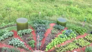 The Aquaculture Algae Fish Permaculture Garden