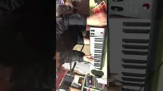 EHX V256 vocoder [Gear test]