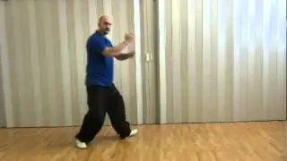 Taijiquan stile Yang 8 movimenti