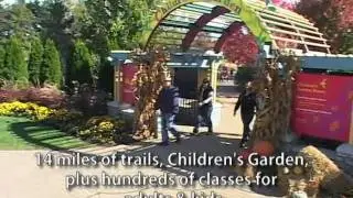 What's there to see and do in Oakbrook Terrace, Illinois?