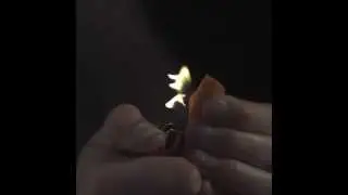 Pyromaniac delight orange zest burning