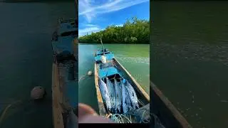 Pemburu Tenggiri🎣 #mancingmania #hobbymancing #ikantenggiri #strikeikan