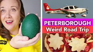 Perfect Ontario Day Trip: Peterborough Free Zoo, Airport Caf&eacute; & Emu Egg Find!