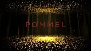Level 4 Pommel Routine Arizona State Men's Gymnastics Holiday Clinic 2022
