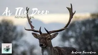 As The Deer (Seperti Rusa Rindu SungaiMu) - Instrumental