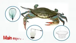 Basics of 