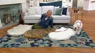 Paw Brands PupRug L/XL Faux Fur Memory Foam Dog Bed on QVC