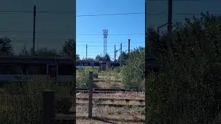 Sifflet d'un Ouigo Intercit&eacute;s en Sarthe #train #railway #trainspotting