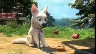 Dog Bolt