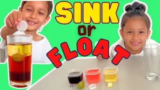The Ultimate Sink or Float Challenge!