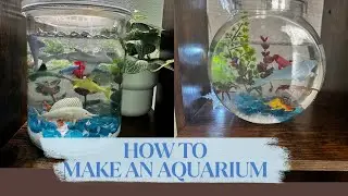 How to make an Aquarium using water beads.
