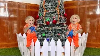 Baby Monkey Lulu Loves Dad’s Handmade Christmas Tree for Her