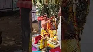 Sarppa Varnangalude Sarppam Pattu SARPPAM SONG #song #songs #aayilyam #DurgaViswanath #music #temple