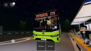 (New Bus in Viewcrest) Riding Bus 379 BYD BC12A04 SG3140Y