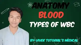 Types of white blood cell.(Granulocyte& Agronulocytes)#study #blood #wbc #type of wbc