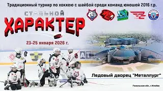 23.01.2026. СХ. 2016. ШРС-2 - Динамо-Джуниверс-1