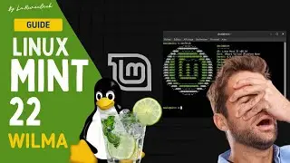 Upgrade vers Linux Mint 22, tout ne s'est pas bien passé ! Tutoriel et nouveautés