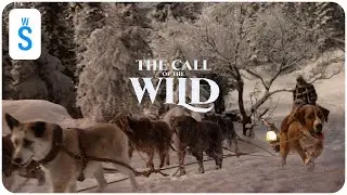 The Call of the Wild (2020) | Scene: Buck gains the loyalty and trust of Perrault