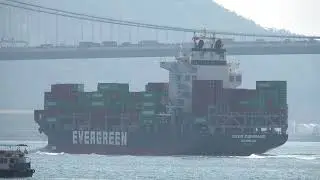 Container Ship《EVER COMMAND》Crossing the Tsing Ma Bridge in HK 20260118_C0020