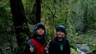 Steep Ravine Trail Hike on Mt. Tamalpais: Challenging Descent Past the Ladder