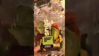 Dried vegetables chips #veggies #viral #shorts #asmrsounds #asmrfood #asmr #trending