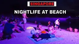 The Most Colorful Night Light in Singapore | Sentosa Island Nightlife
