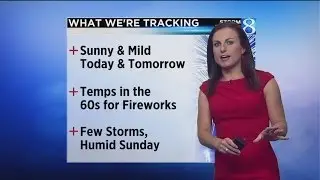 Storm Team 8 Forecast -- 7.4.2014 Noon Forecast
