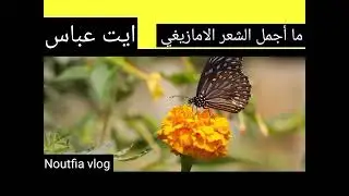 الشعر الامازيغي : نغمات من شعر ايت عباس ازيلال الجميل. 