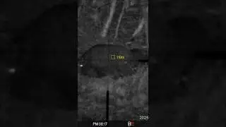 #hunting #meopta meostar r2 2.5-15x56 #wildlife #pard Nv 007 SP 4K LRF #wildboar