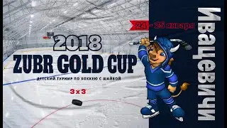 Брест 2 - Лида 2 . Хоккей, турнир ZUBR GOLD CUP | Ивацевичи |