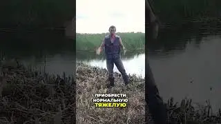 Превратили болото в уютную озерную бухту! Часть 9 tg: agro_insite; agroinsite