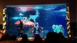 Newport aquarium scuba Santa show