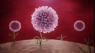 MOA Animation   HCV