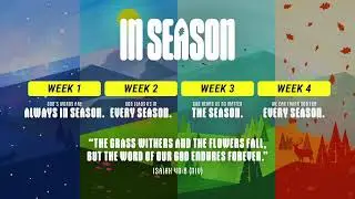 Luke 14:1-24: The King's Feast