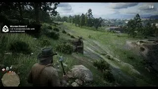 Weapons Expert 7: 4 consecutive kills with same tomahawk. Early chapter 2. Red Dead Redemption 2, 4K