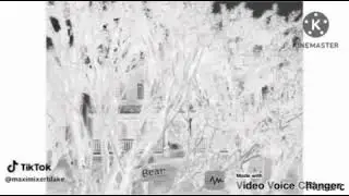 Bear In the Big Blue House Theme Song (Extended Version) Effects In Reverse Black And White