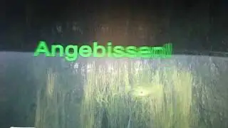 AngelSimulator #3