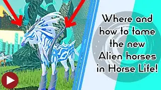 How to find the Equenari horses!