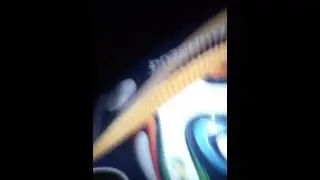 #PaniniMania