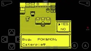 Pokemon Black - Special Palace Edition - #1