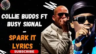 COLLIE BUDDZ ft BUSY SIGNAL  -  SPARK IT  #colliebuddz #busysignal #sparkit