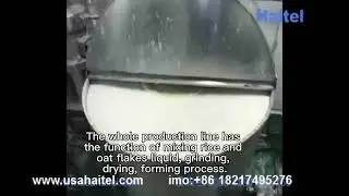 HTL 2040 multi-grain,rice powder,oatmeal,oatmeal flakes machine