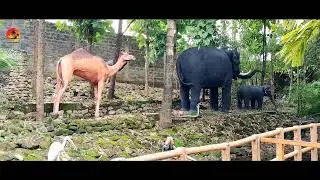 Utsav Rock Garden-Karnataka ||Eight World Records || An Indoor and Outdoor Sculptural Museum